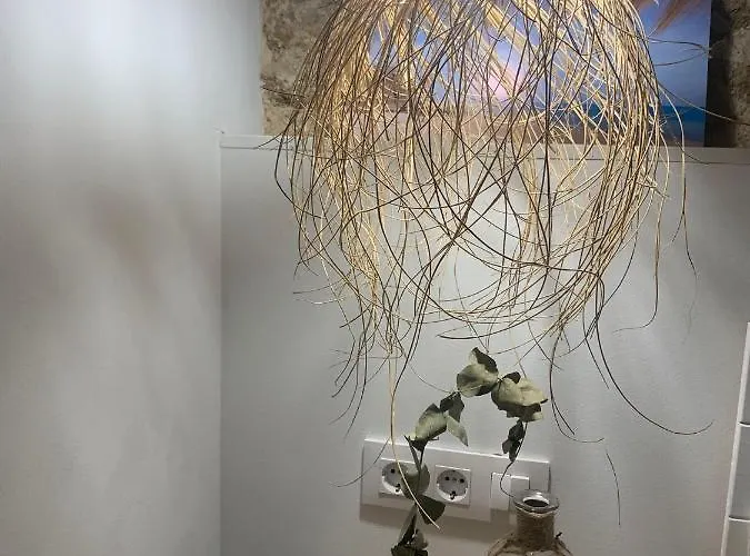 Pitusa Appartement *